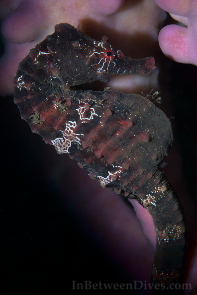 231118-4940.jpg