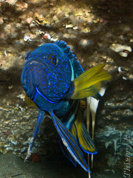 rw_100110-8644.jpg